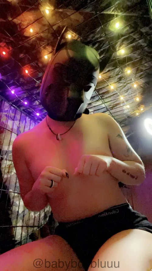 puppy finally got his hood!! >:3