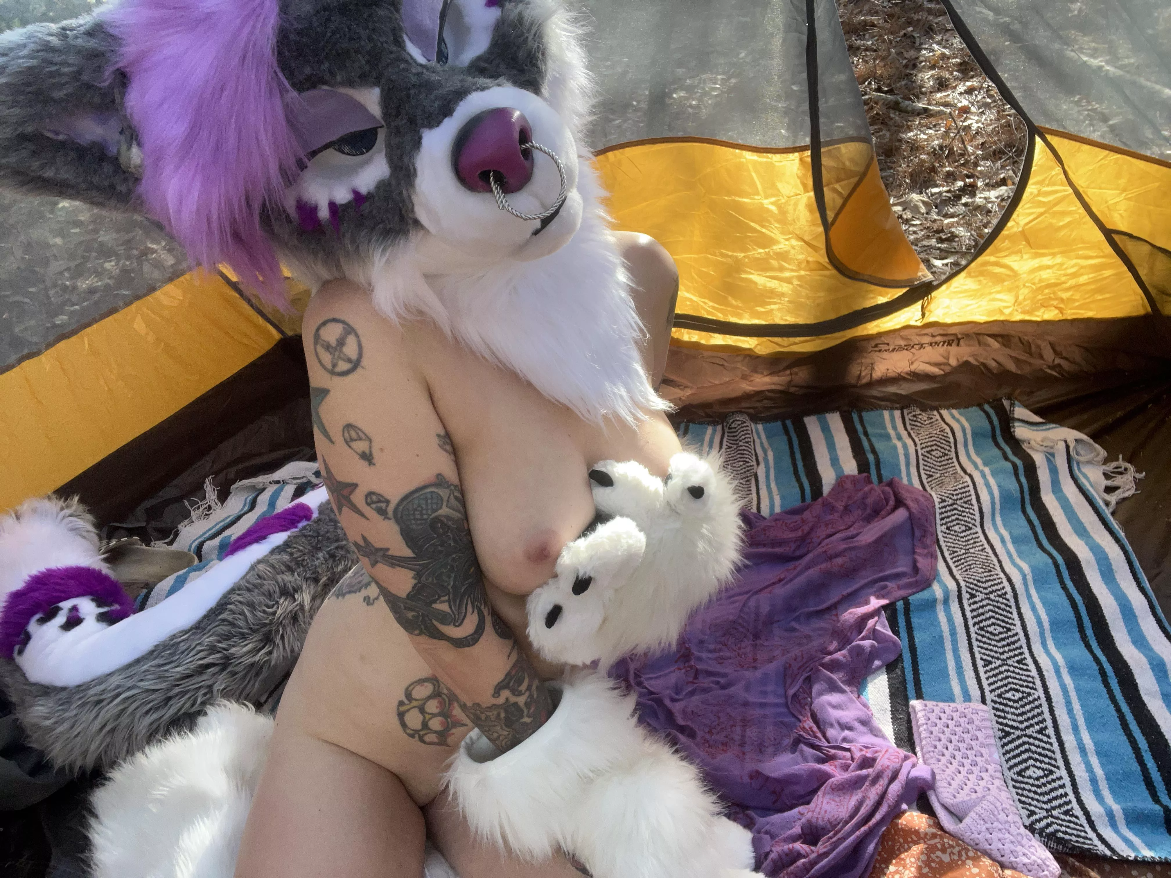 Tent snugs? *twitches tail invitingly *