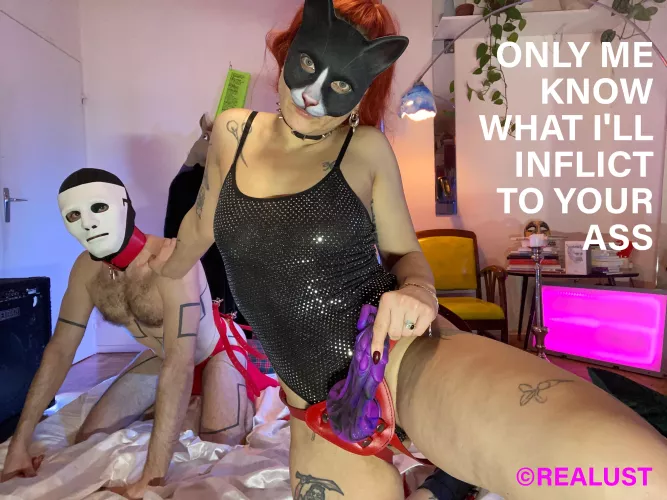 This cat has no master because she's the mistress !