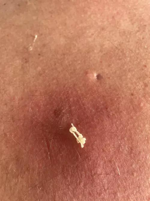 This guy fills up every 7-10 days