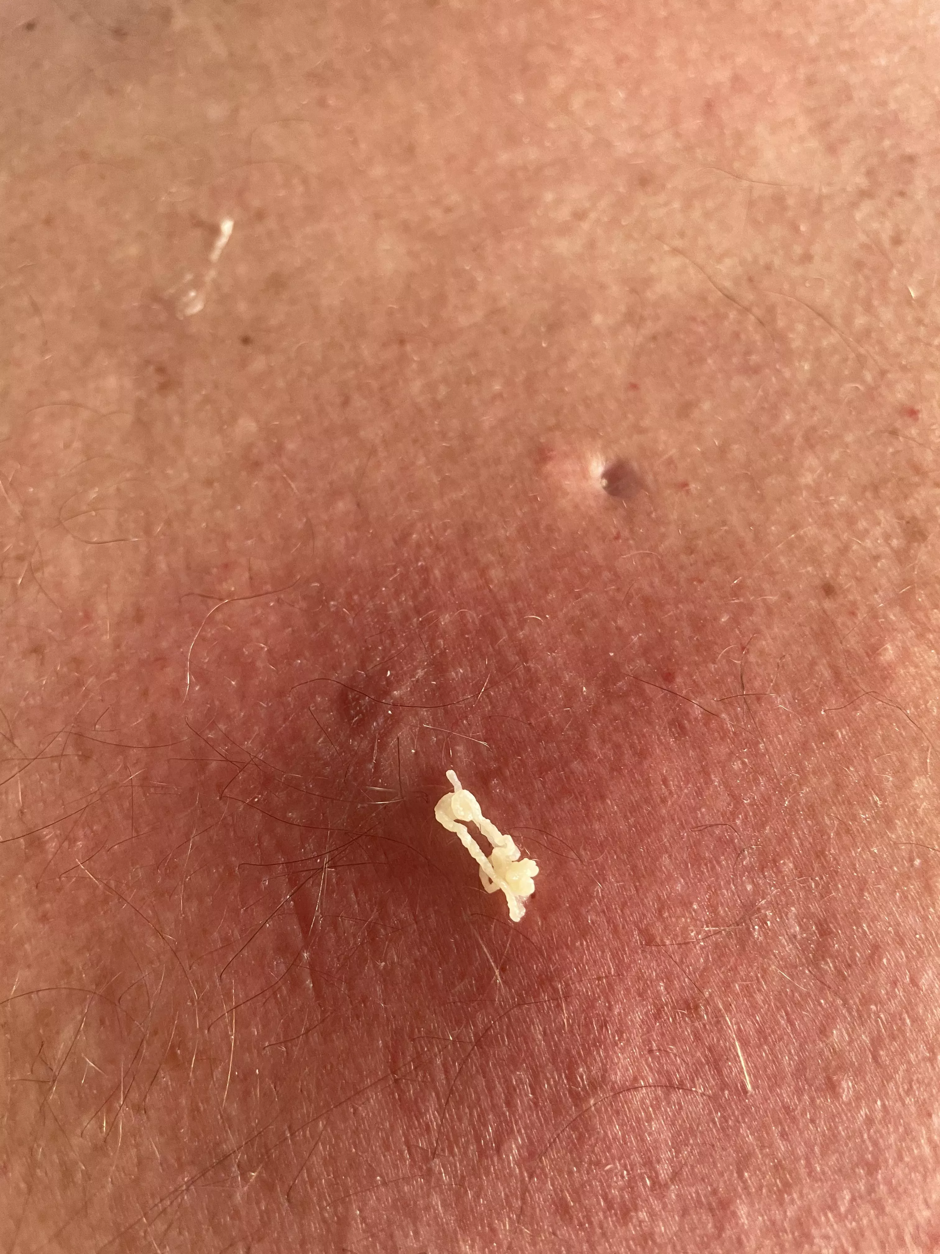 This guy fills up every 7-10 days