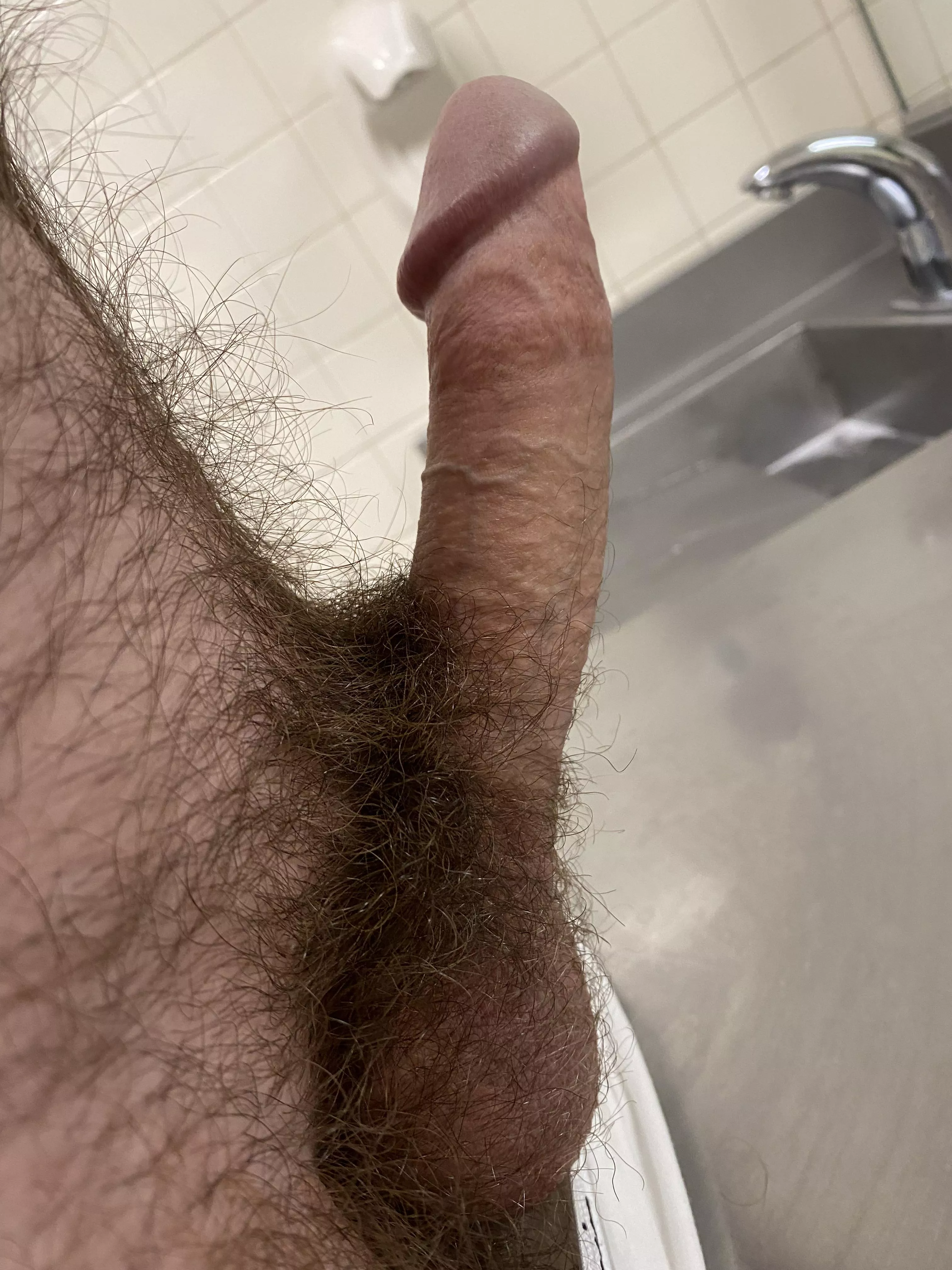 Thoughts on my hairy cock?