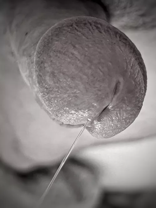 Who Said Dick Pics Can’t Be Artsy!?