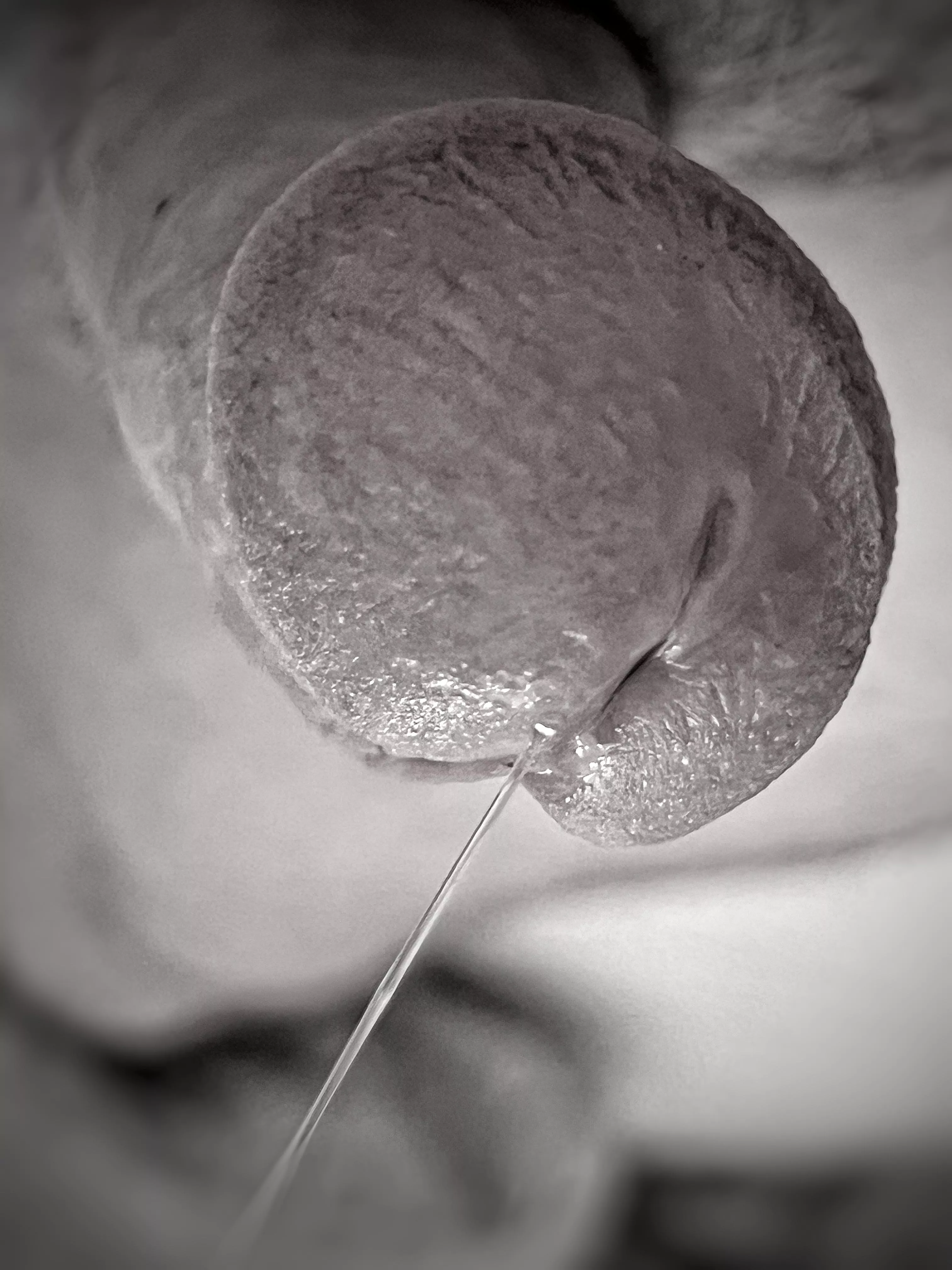 Who Said Dick Pics Can’t Be Artsy!?