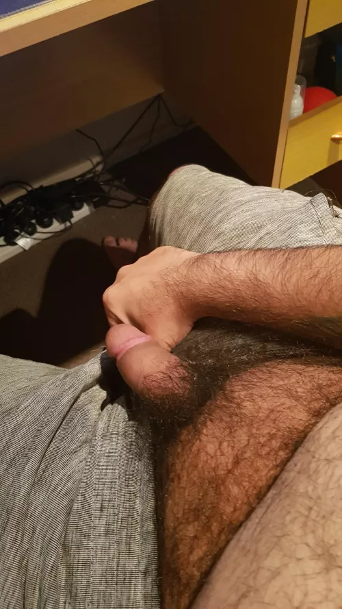 Who's going to smell my bush