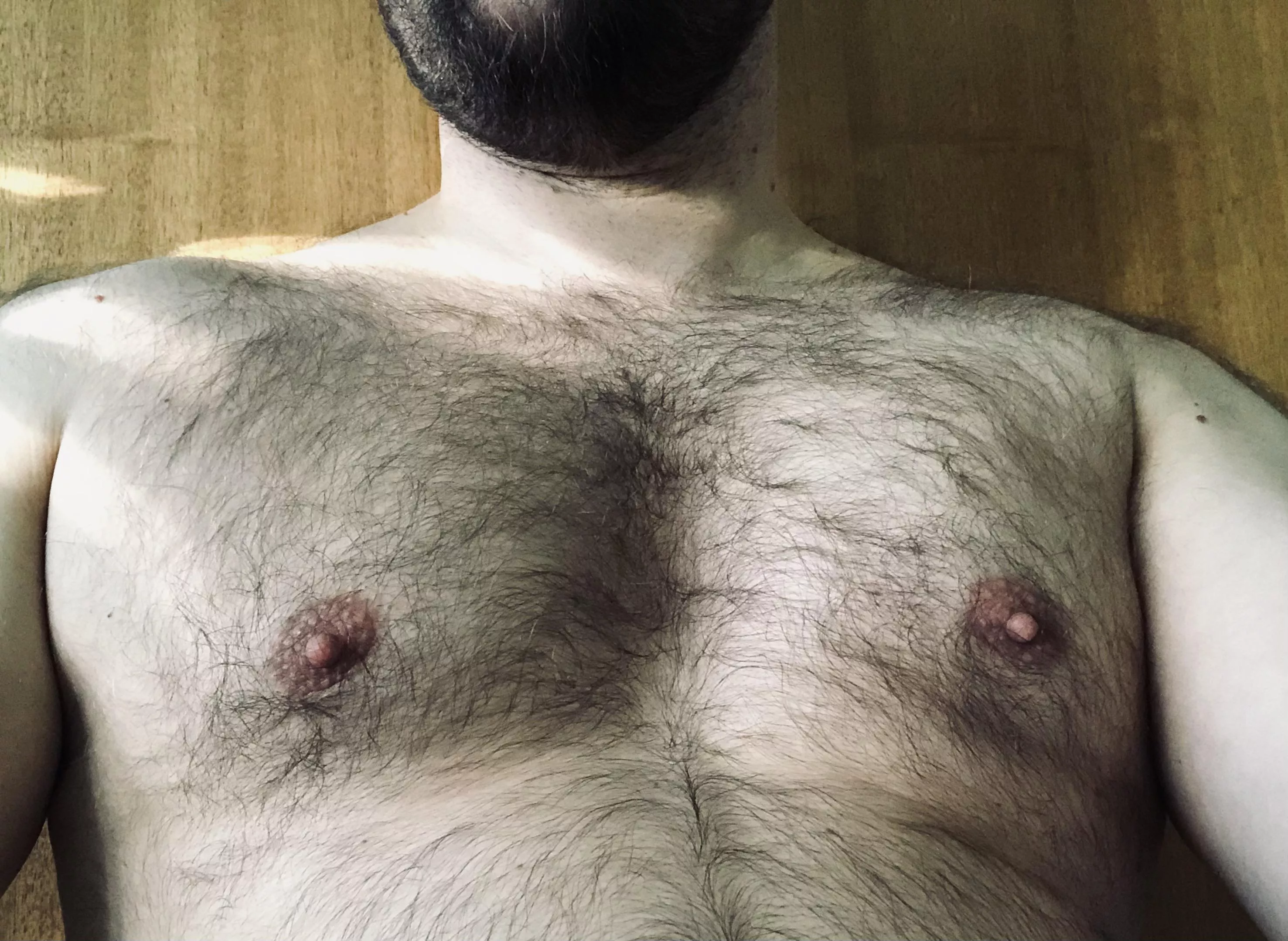 Would I pass for an otter?