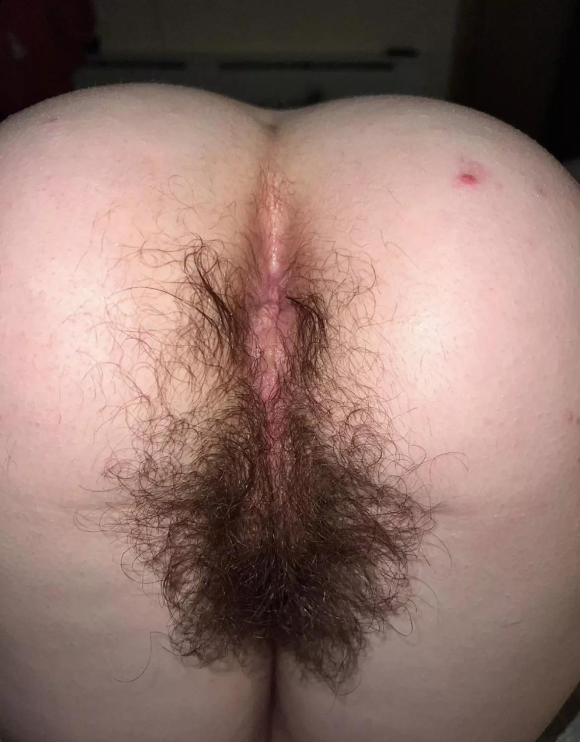 Would you get hard if I bent over in front of you on our first date? [h]