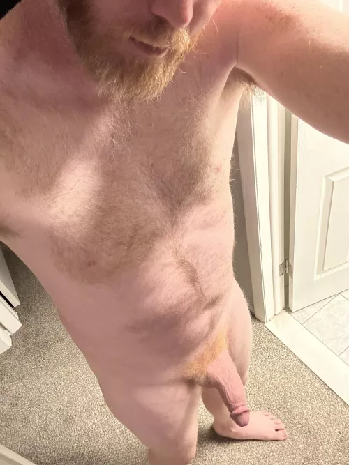 Would you have fun with this ginger cock?