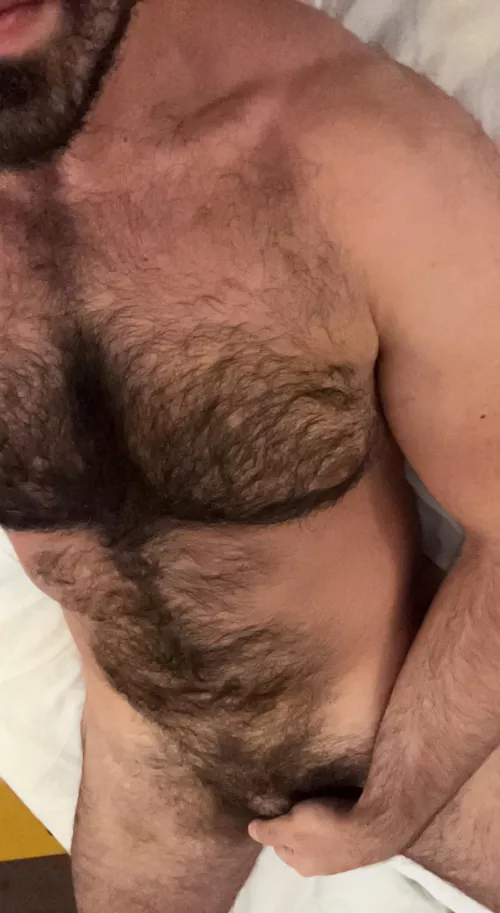 28m, looking to stroke with fit hung bros. Cut+ muscular+ send pics and asl when adding. Sc: tarsha1534