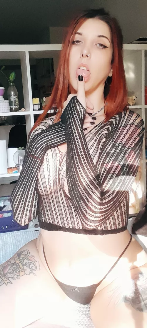 All men should try a redhead at some point in their life, What flavor do you imagine I have?