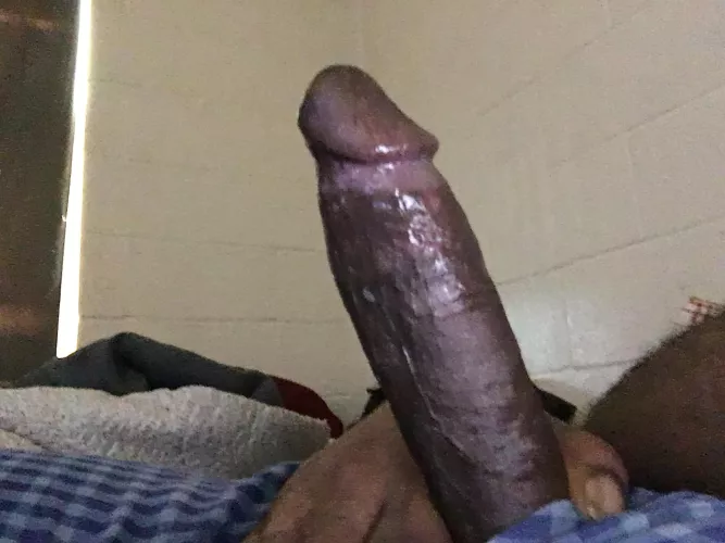 Any big booty chubs wanna chat with me