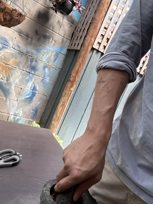 Certain birdie brought me here