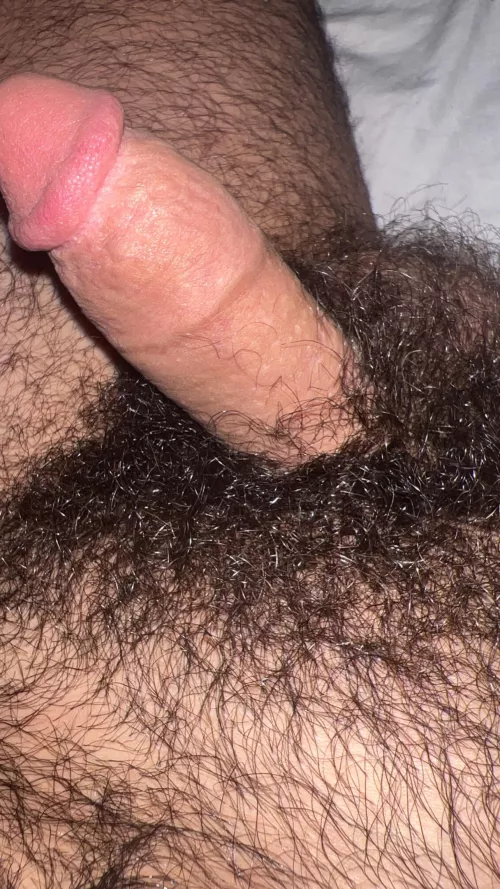 Come sniff my heavy arab pubes