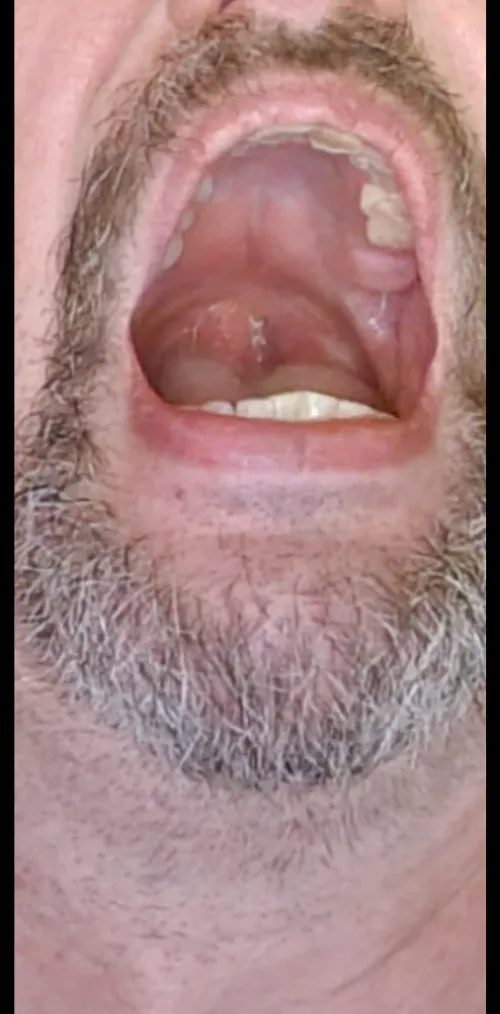 Cum in my whore mouth!