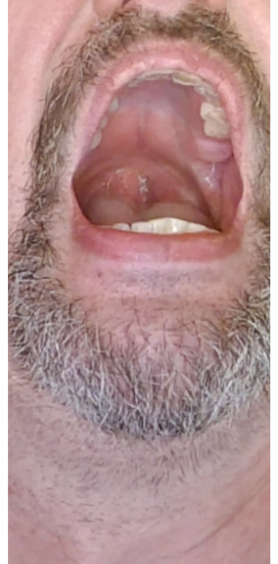 Cum in my whore mouth!