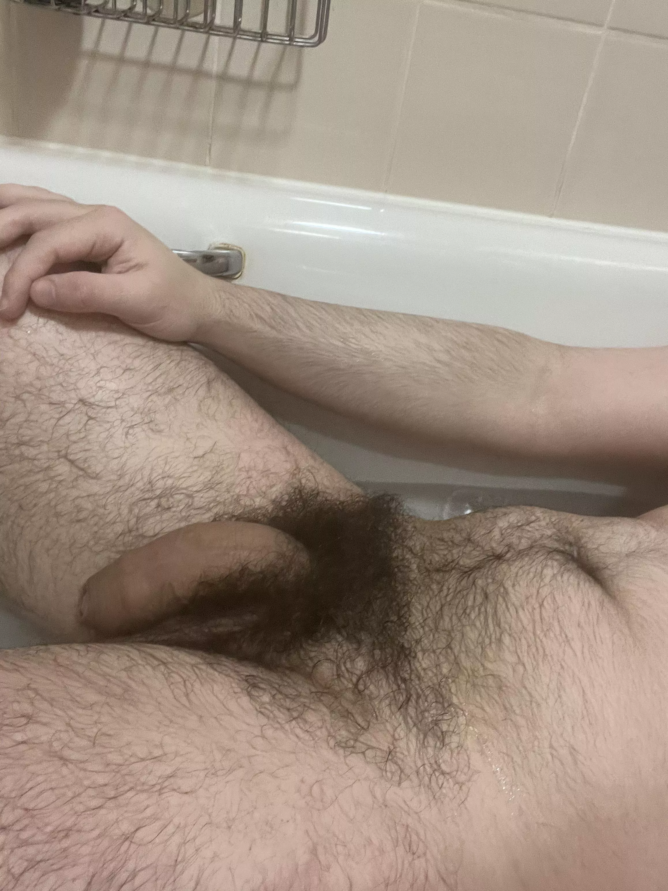 Do you like my big hairy soft cock?👑🍆Dms open😈💦