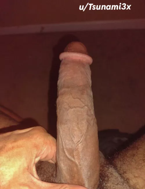 Does This Community Like Veiny Thundercock's ⚡🐔