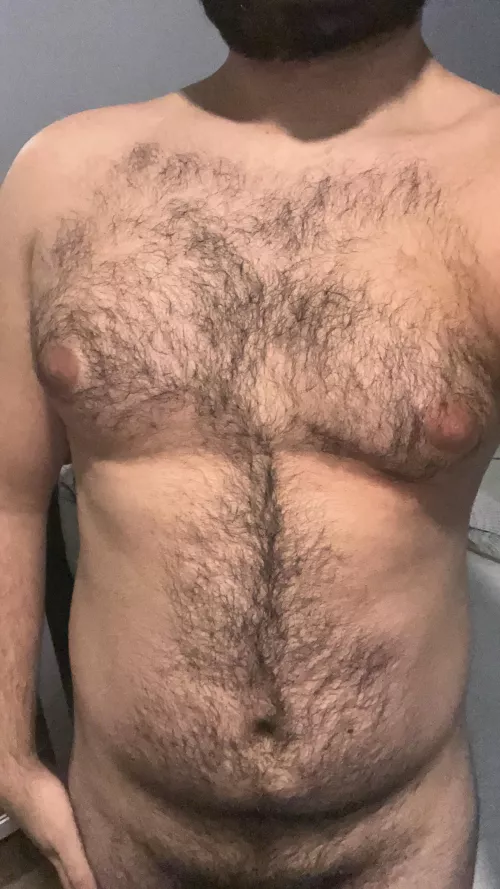 Hairy arab chest