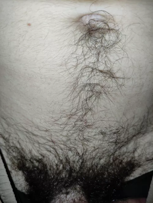 Has my belly hair become pubes? 😂