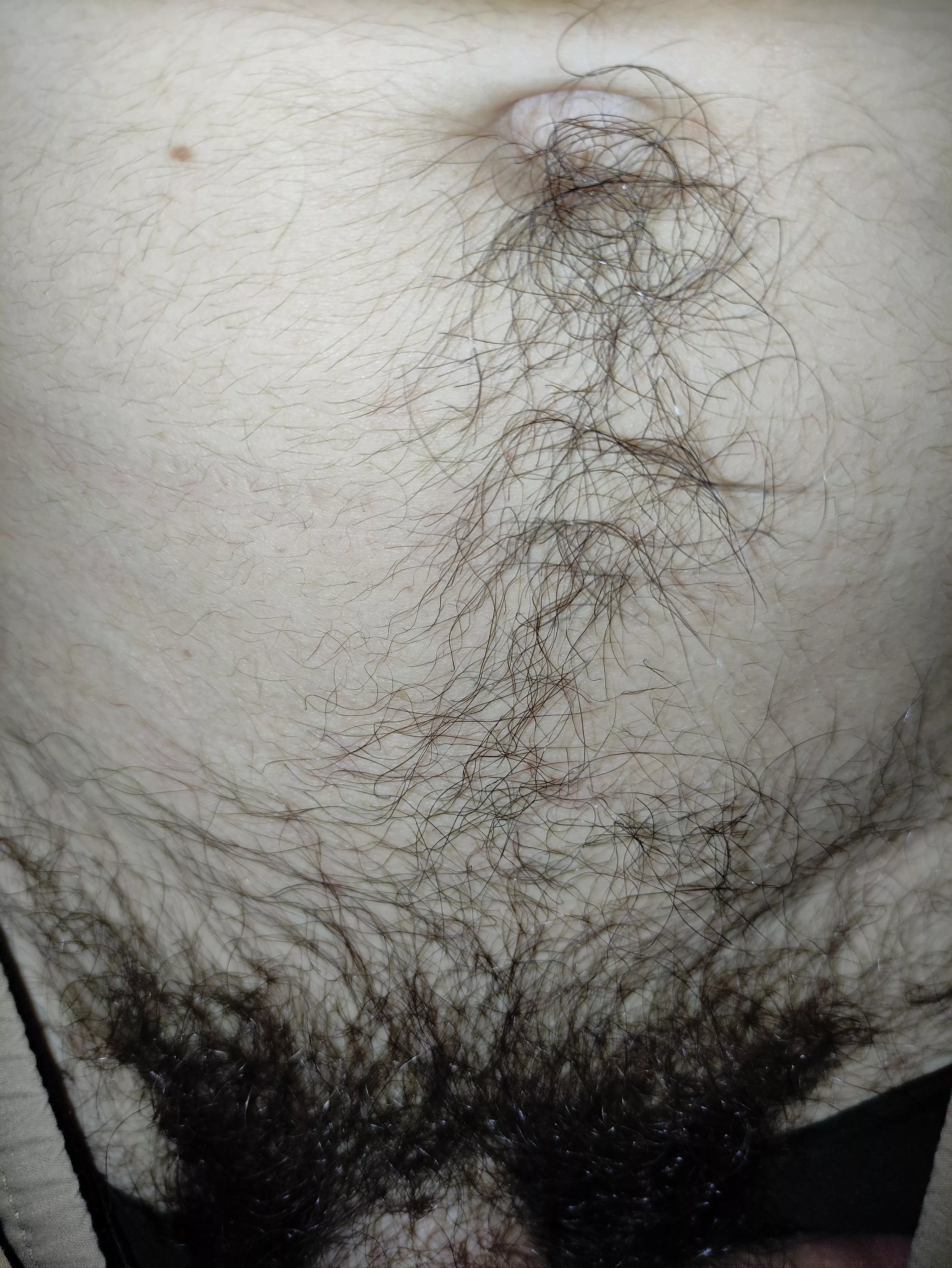 Has my belly hair become pubes? 😂
