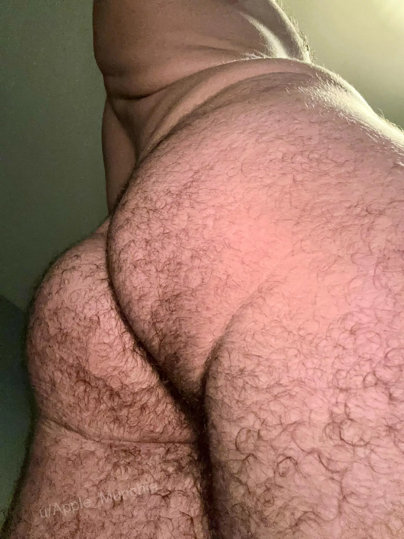 Hope you like my hairy ass