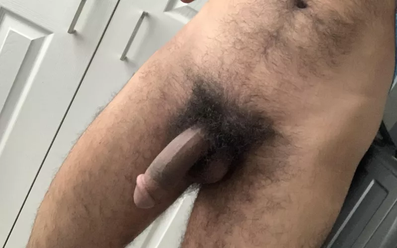 How’s my teen bush