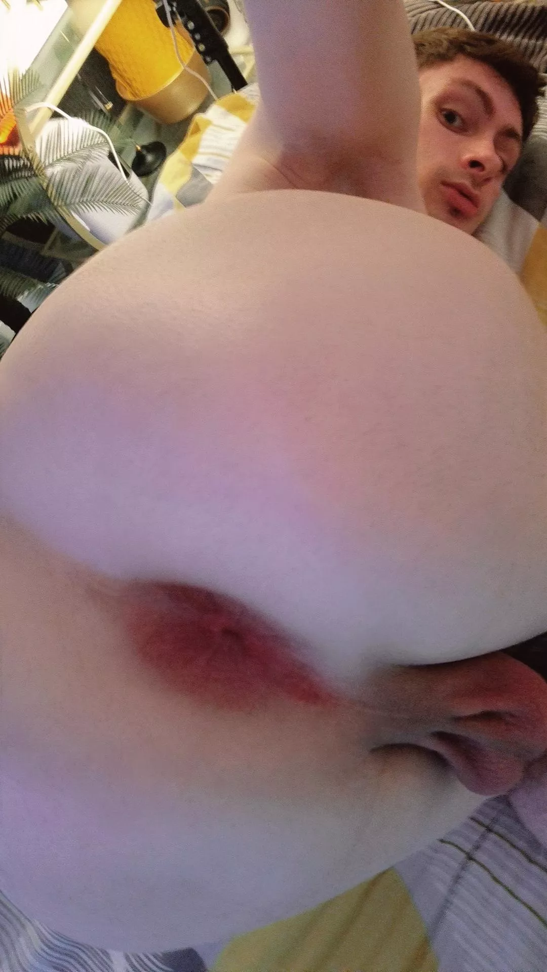 I think I like it here 🙂