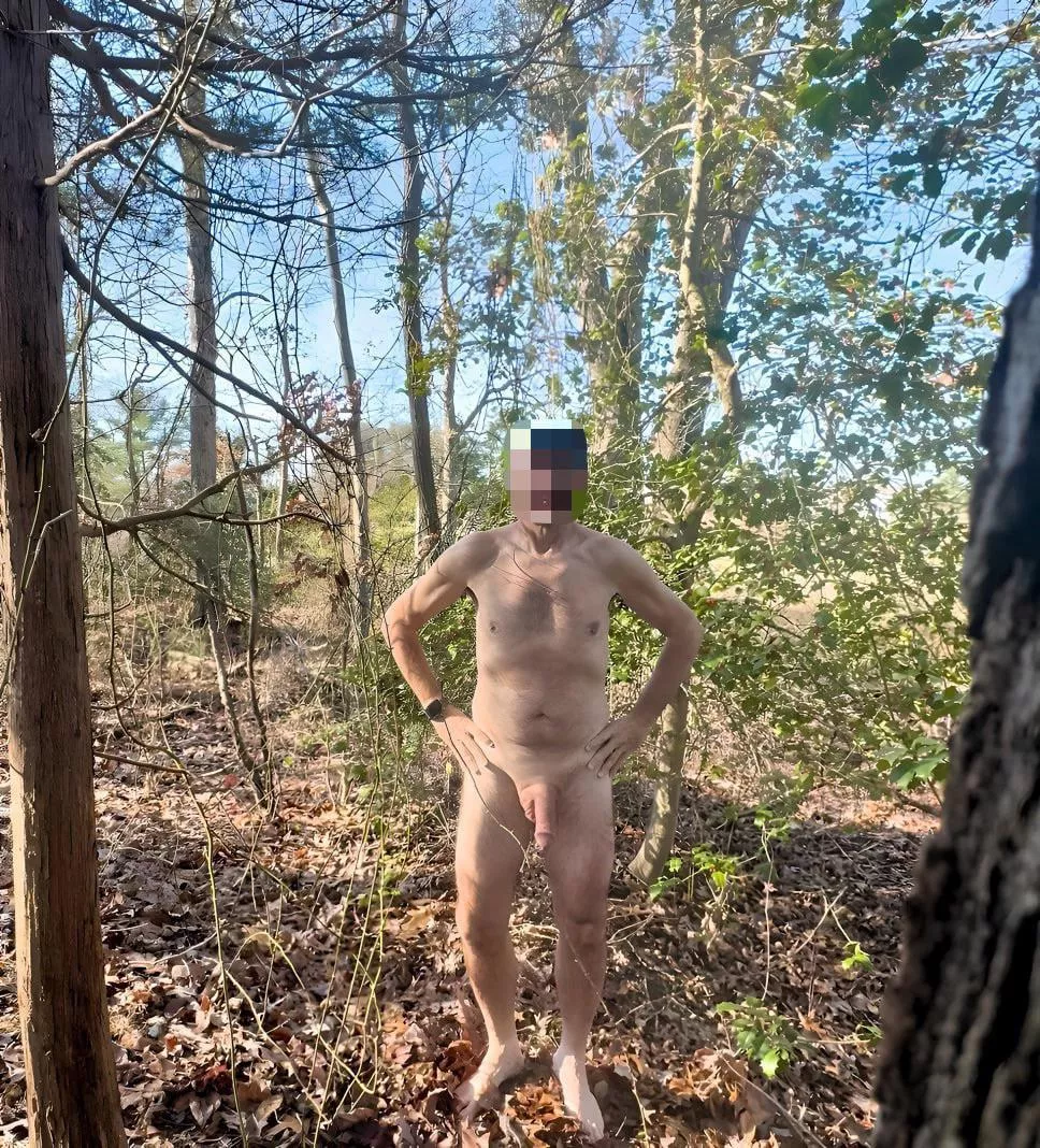 Let’s get naked in the woods together