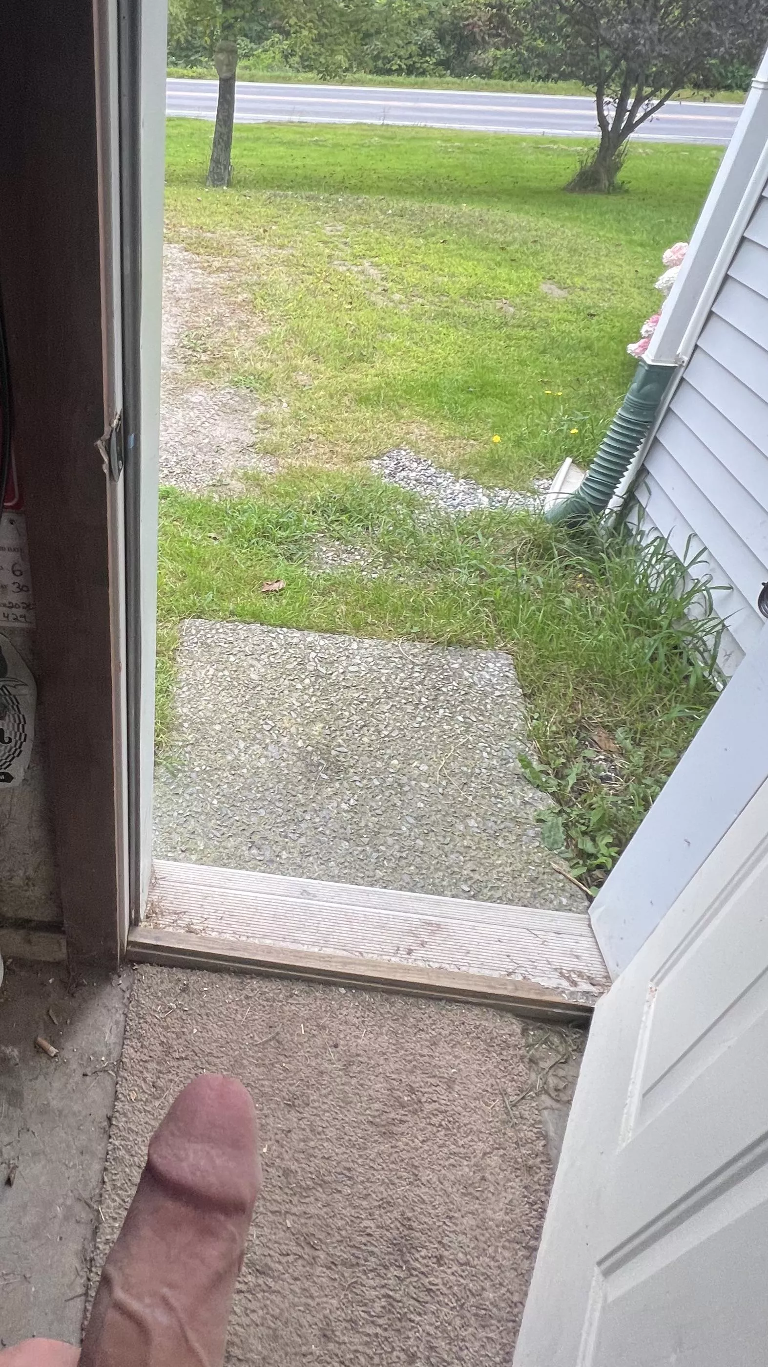 Look in if you wanna