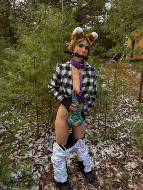 My favorite treat and toy