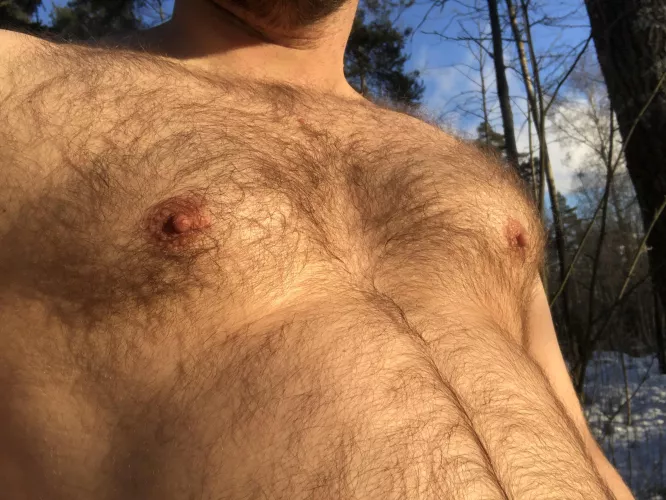 Otters do not hibernate, but remain active in wintertime, and can often be encountered playing in the snow