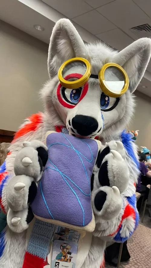 Pop-Tarts are an essential part of a circle wolf's diet!