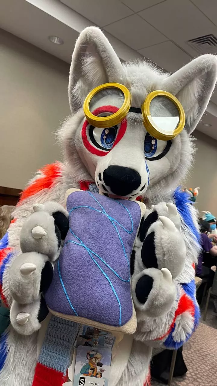 Pop-Tarts are an essential part of a circle wolf's diet!