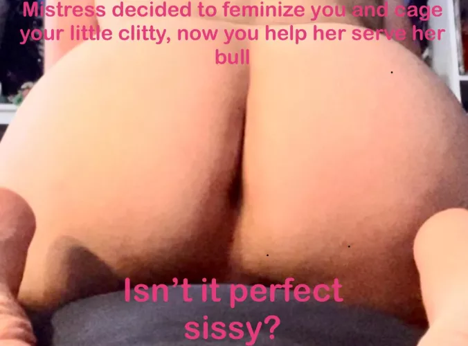 Sissy made to serve
