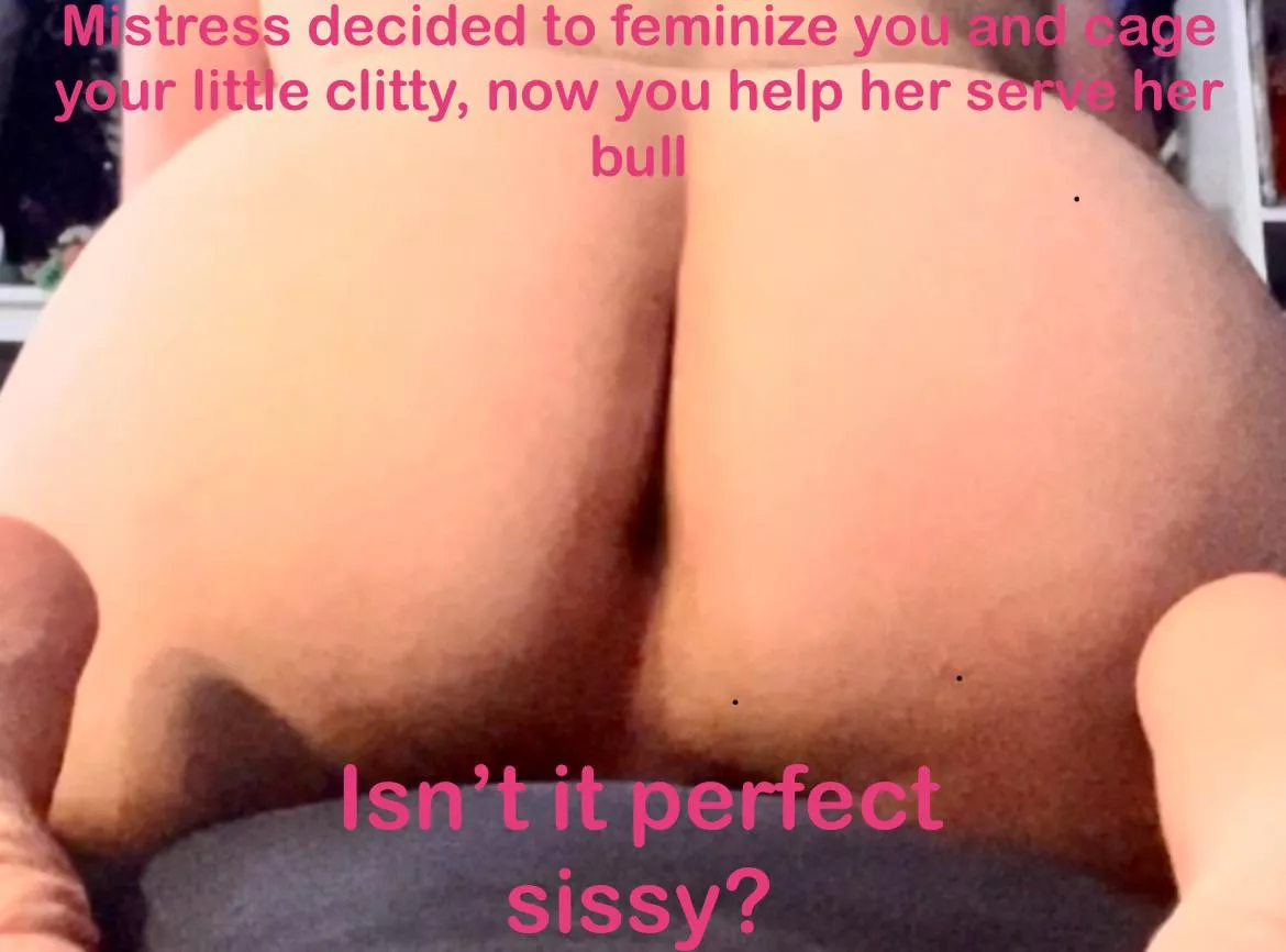 Sissy made to serve