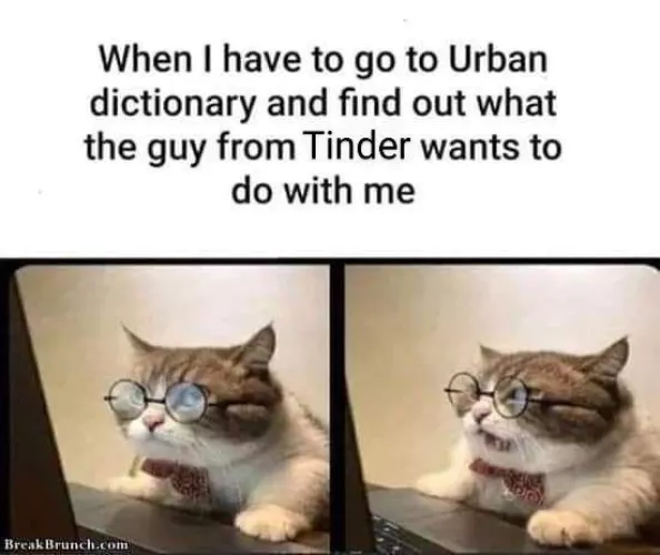 The Reason Why I Stay Single