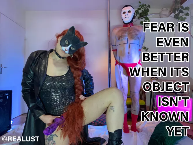 Wait, wait, wait, to see what you'll take !