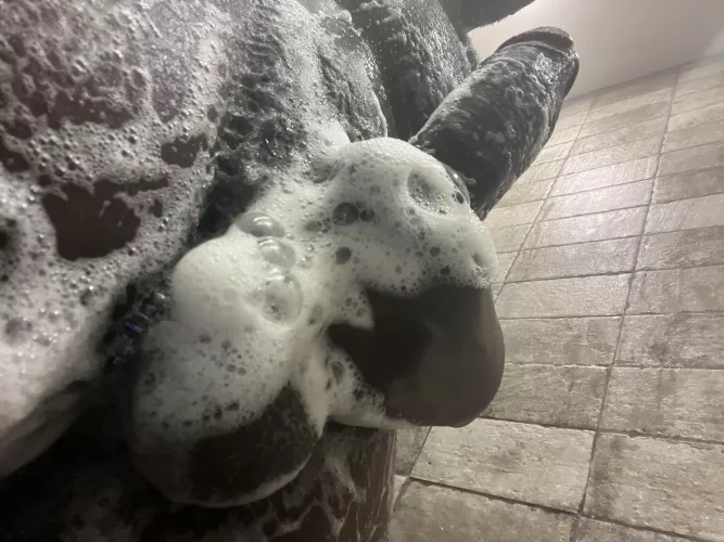 Wanna Join?👀🚿🧼