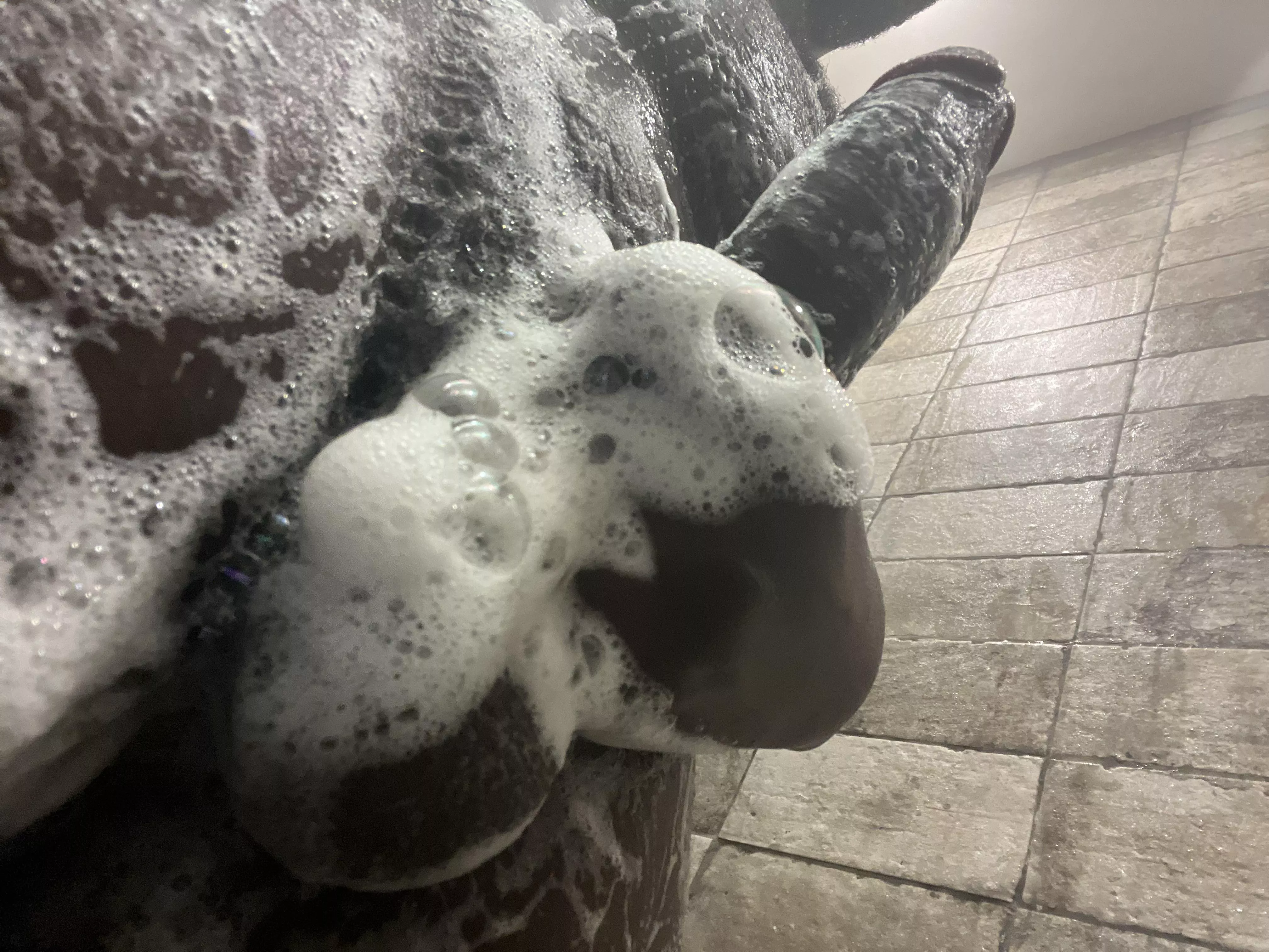 Wanna Join?👀🚿🧼