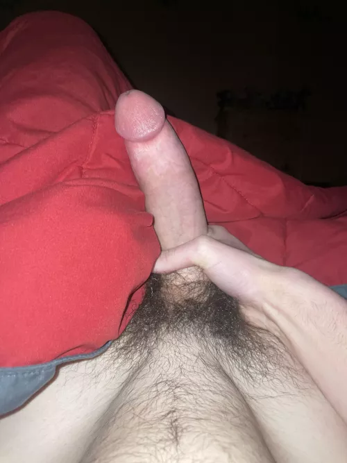 What would you rate it