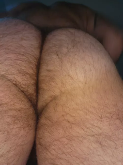 Who likes a hairy man ass?