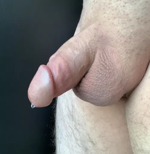 Who likes my soft cock?