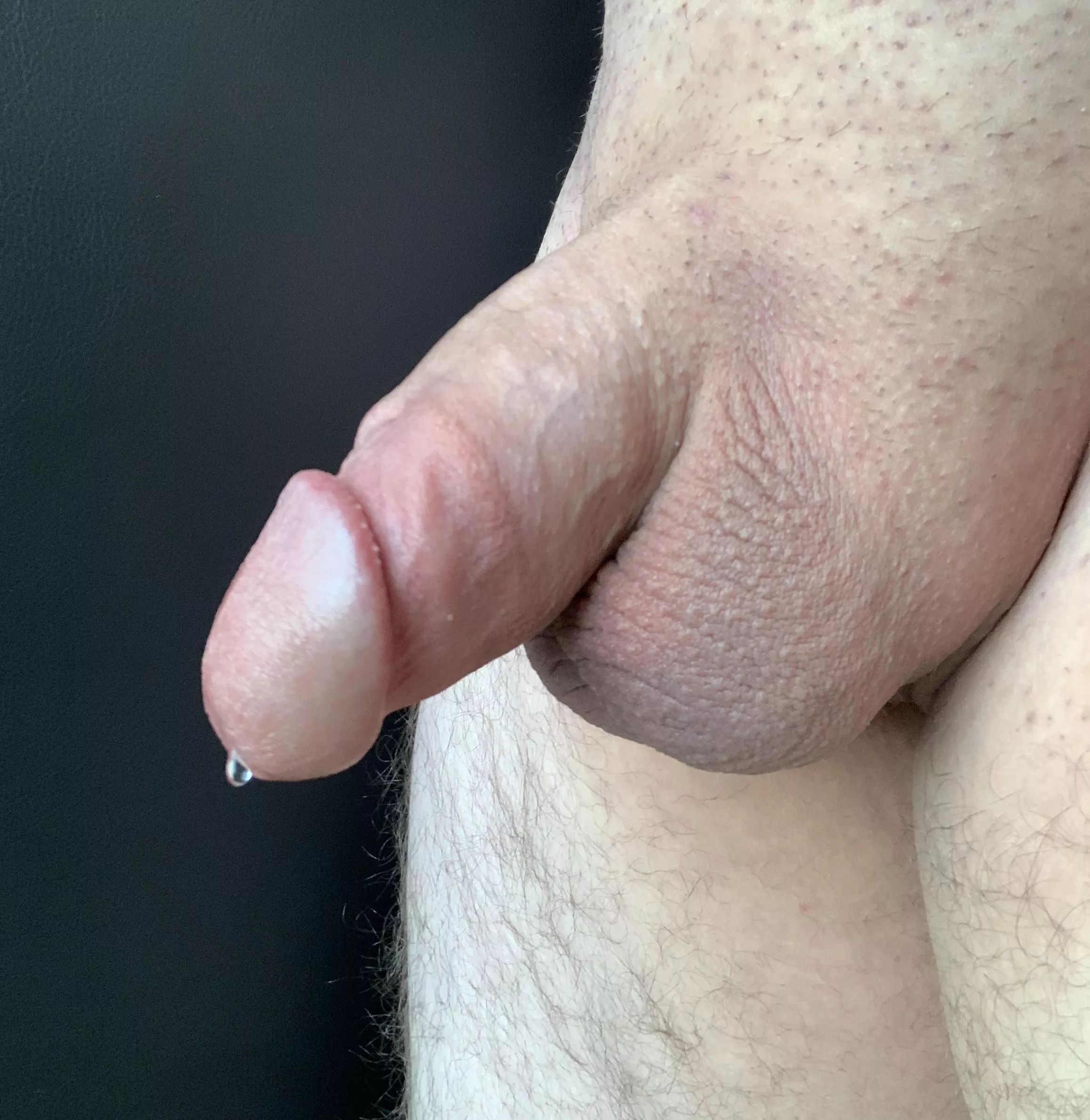Who likes my soft cock?