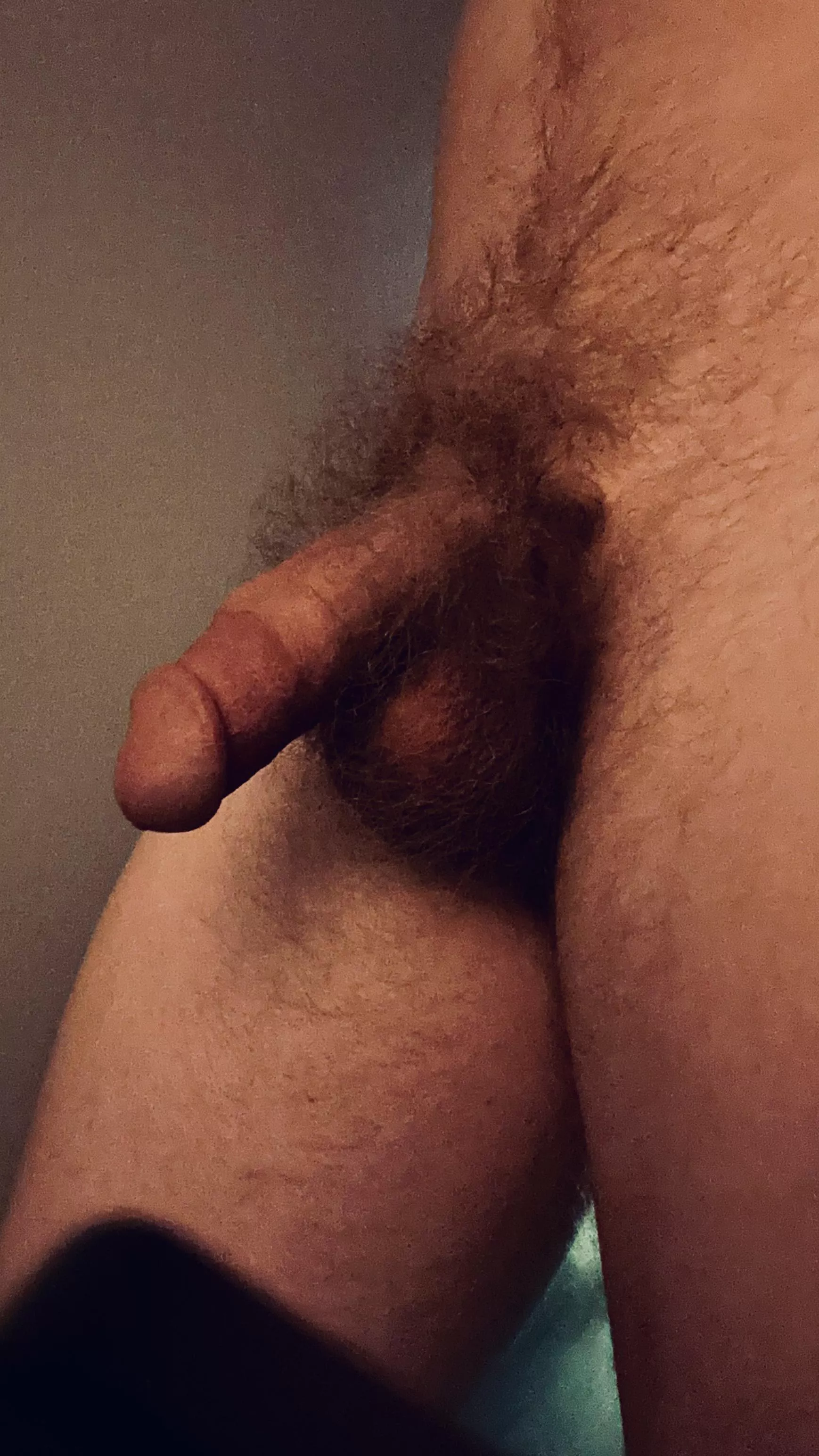 Who wants to feel this bush on their face?