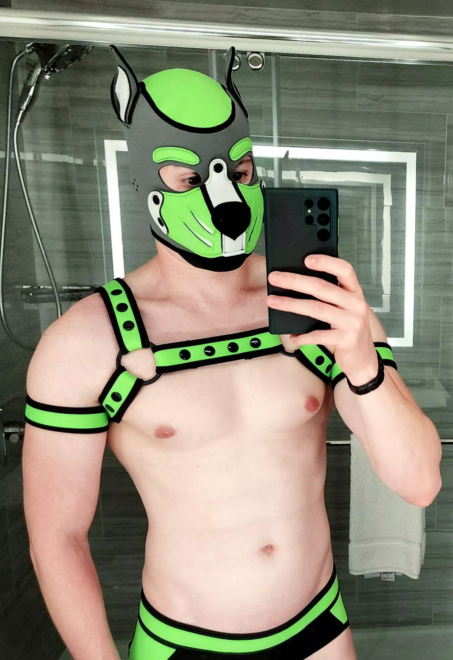 Who's ready for a walk? 🐾