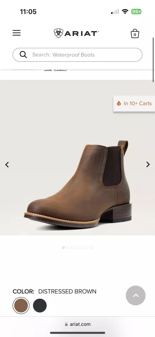 Would these Chelsea boots be good for business professional?