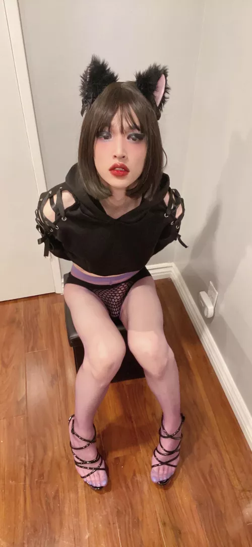 Would you give me attention when you get home from work?