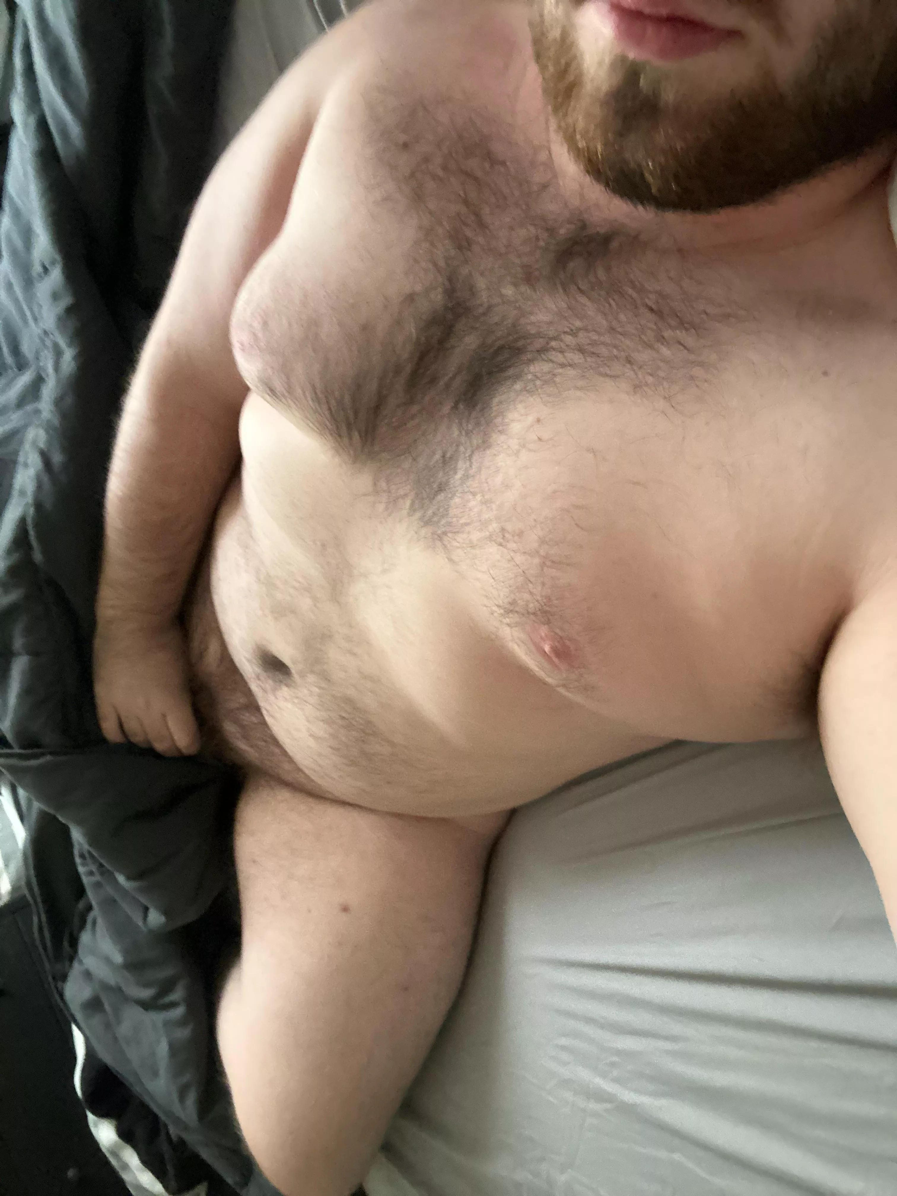 21 college bear, stroking my thick morning wood. DMs open ;)
