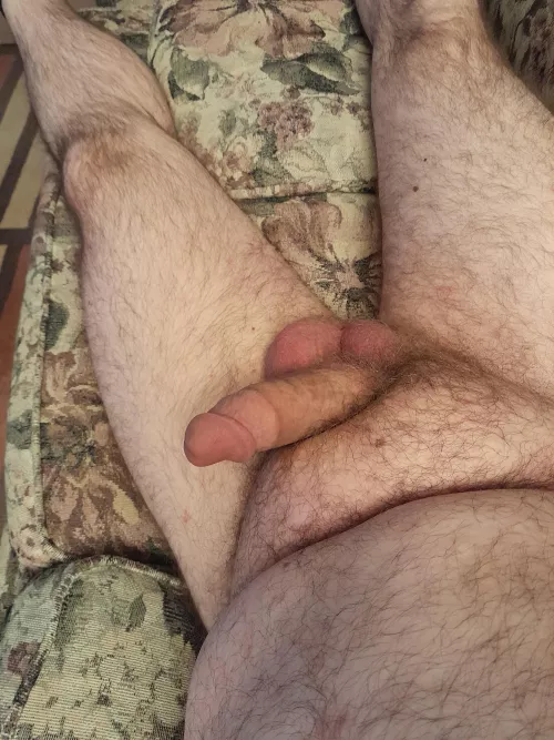 36 chub looking to trade with other chubs.