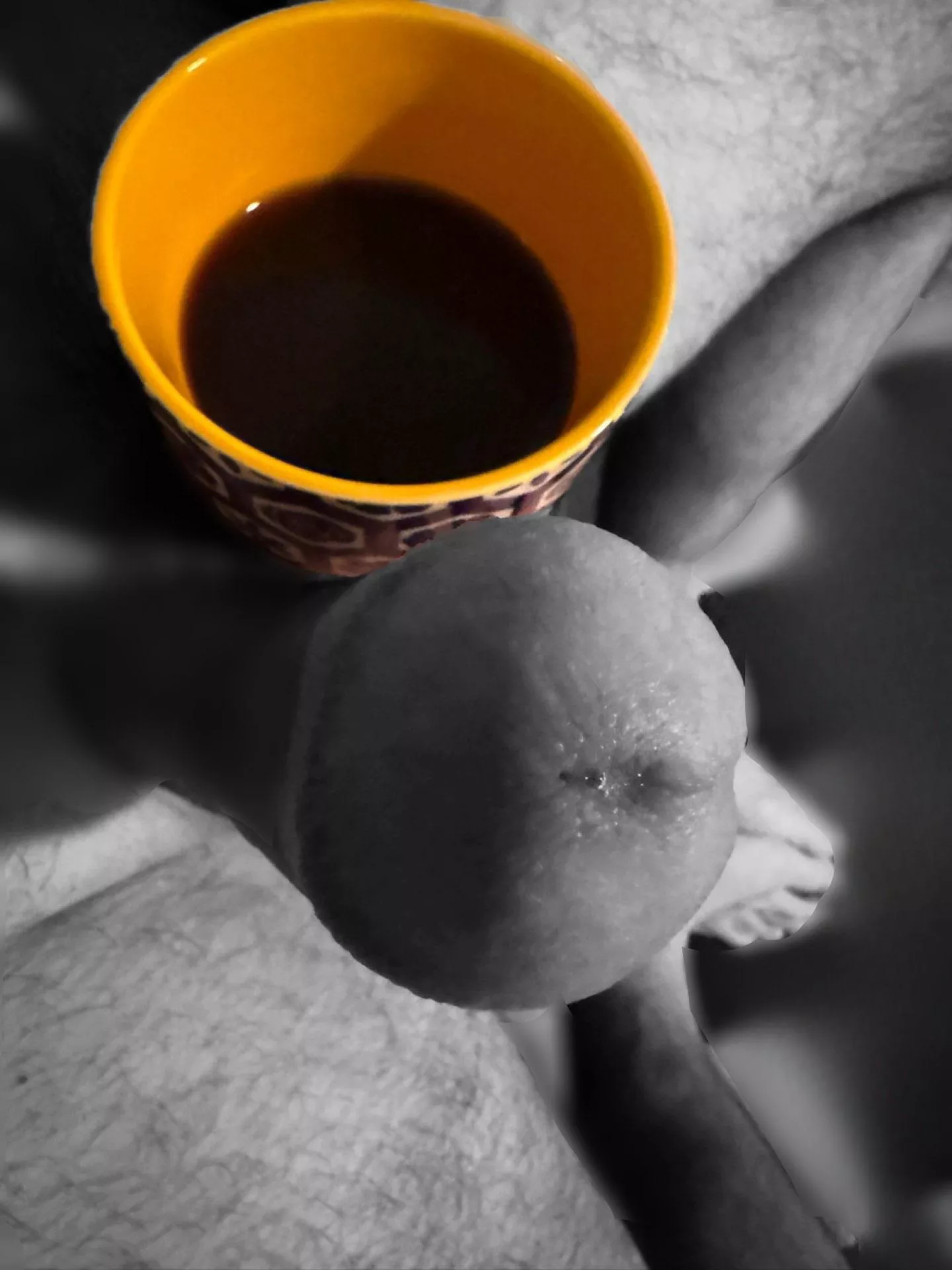 (53)Ready to start the day? What will we do?